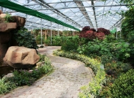 安徽华夏旅游学校观光农业经营简介