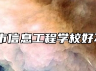 滁州市信息工程学校好不好？