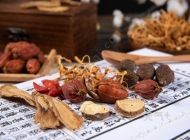 芜湖医药卫生学校中药专业简介
