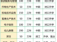 颍泉技工学校2025年招生简章