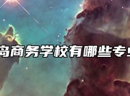 青岛商务学校有哪些专业？