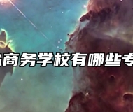 青岛商务学校有哪些专业？