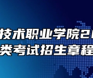 合肥信息技术职业学院2023年分类考试招生章程