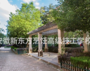 合肥新东方高级技工学校校园环境