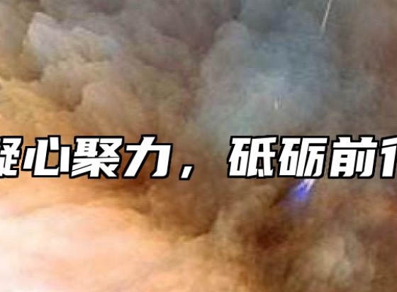 凝心聚力，砥砺前行