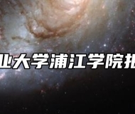 南京工业大学浦江学院报考指南