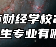 铜陵市财经学校2024年招生专业有哪些？
