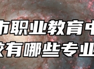 胶州市职业教育中心学校有哪些专业？