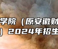 蚌埠工商学院（原安徽财经大学商学院）2024年招生章程