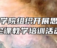 阜阳技师学院组织开展思想政治理论课教学培训活动