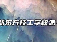 山东新东方技工学校怎么样？