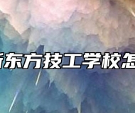 山东新东方技工学校怎么样？