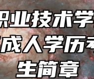 淮北职业技术学院2024年成人学历考试招生简章