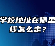 合肥公交学校地址在哪里？乘车路线怎么走？