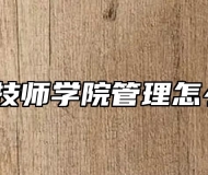 合肥技师学院管理怎么样？