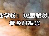 霍邱工业学校：巩固脱贫攻坚 情牵乡村振兴
