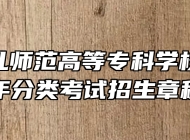 合肥幼儿师范高等专科学校2024年分类考试招生章程