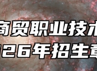 安徽商贸职业技术学院2026年招生章程