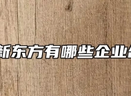 安徽新东方有哪些企业合作？