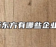 安徽新东方有哪些企业合作？