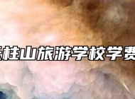 安徽天柱山旅游学校学费多少？