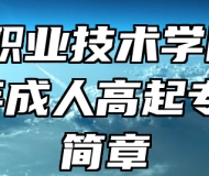 芜湖职业技术学院2023年成人高起专招生简章