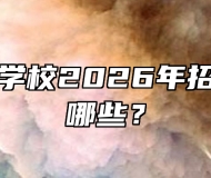 合肥理工学校2026年招生专业有哪些？
