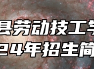 望江县劳动技工学校2024年招生简章