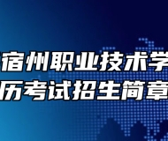2024年宿州职业技术学院成人学历考试招生简章