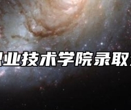 宿州职业技术学院录取分数线