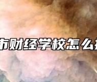 铜陵市财经学校怎么报名？