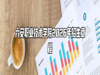六安职业技术学院2026年招生章程