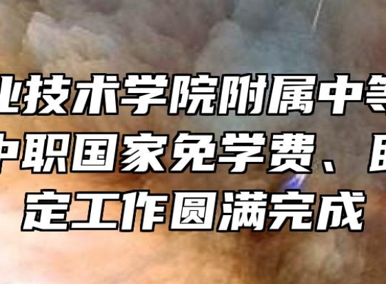 芜湖职业技术学院附属中等职业学校秋季中职国家免学费、助学金认定工作圆满完成