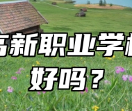 青岛高新职业学校环境好吗？
