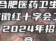 安徽合肥医药卫生学校（安徽红十字会卫生学校）2024年招生简章