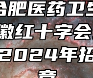 安徽合肥医药卫生学校（安徽红十字会卫生学校）2024年招生简章