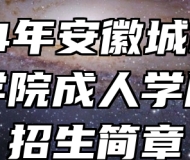 2024年安徽城市管理职业学院成人学历考试招生简章