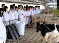 阜阳农业学校宠物养护与经营专业