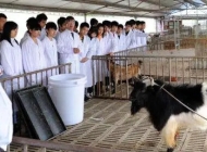 阜阳农业学校宠物养护与经营专业
