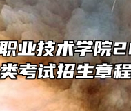 合肥共达职业技术学院2024年分类考试招生章程