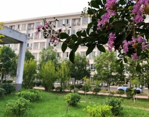 安徽汽车职业技术学院校园环境