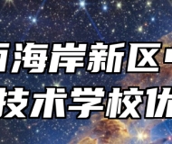 青岛西海岸新区中德应用技术学校优势