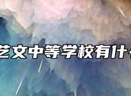 宿州市艺文中等学校有什么专业？
