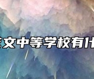 宿州市艺文中等学校有什么专业？