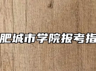合肥城市学院报考指南