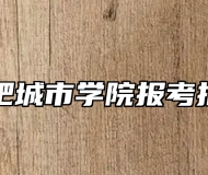 合肥城市学院报考指南