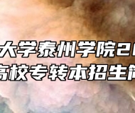南京师范大学泰州学院2024年普通高校专转本招生简章