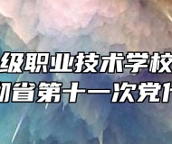 灵璧县高级职业技术学校深入学习宣传贯彻省第十一次党代会精神