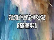 安徽省宿州中原航空中等专业学校民航运输服务专业