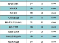 安徽黄梅戏艺术职业学院2024年分类考试招生计划